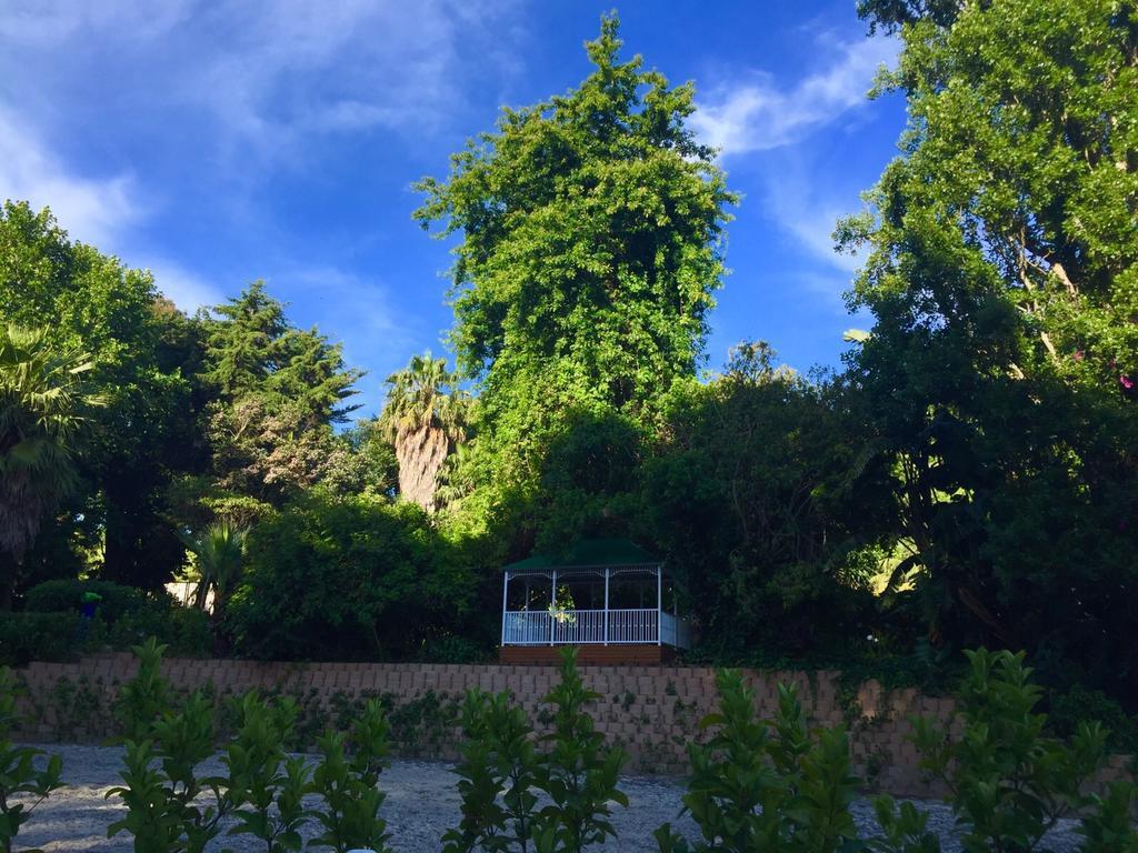 Bed and Breakfast The White Manor à Le Cap Extérieur photo